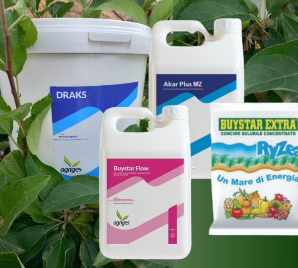 Engrais et fertilisation